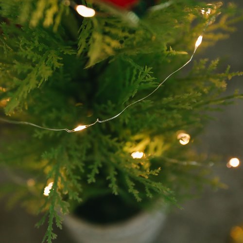 아스파시아 크리스마스 와이어 LED 전구 30구-크리스마스전구,조명,인테리어소품