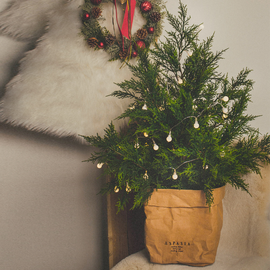 아비에스 전나무 크리스마스 스탠딩트리 앵두전구세트(소)-크리스마스트리, 벽장식